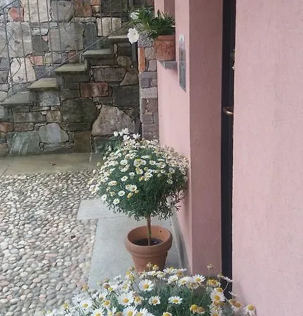 Oda ve Kahvaltı Campo Dei Fiori
